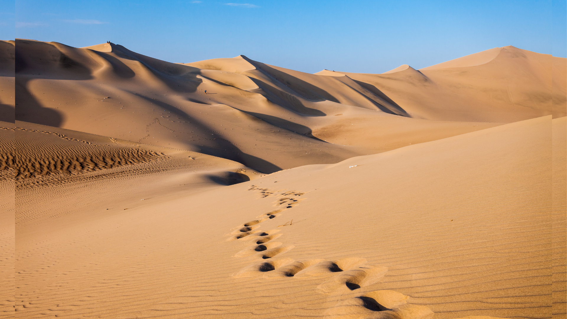 Paisaje de dunas de arena dorada bajo un cielo azul despejado, con huellas de pies que se adentran en las dunas y sombras pronunciadas que resaltan las ondulaciones del terreno.